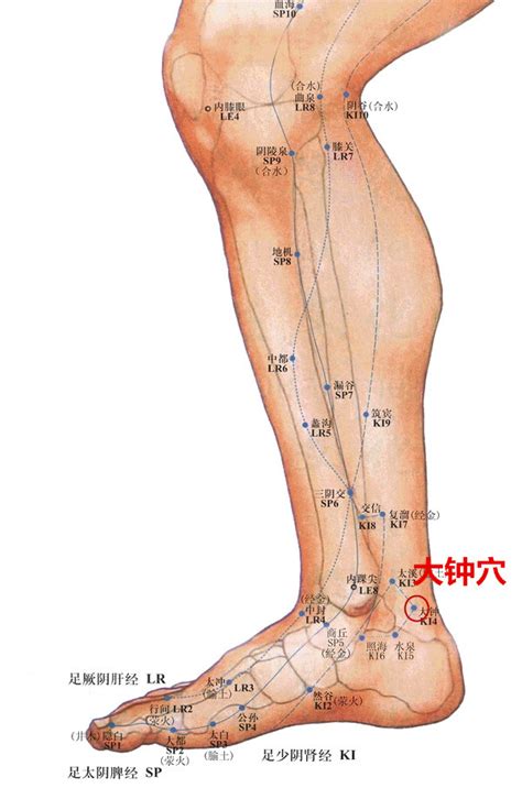 大鐘穴功效